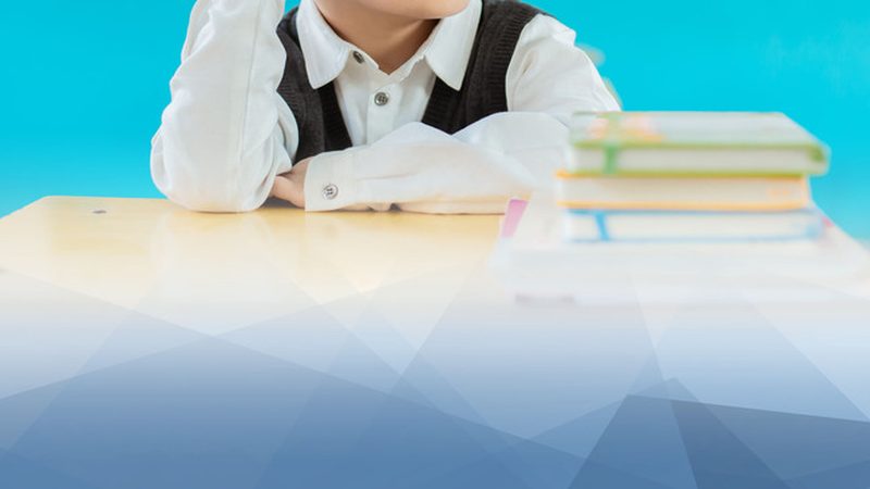 学历提升之路：专业选择与费用考量揭秘